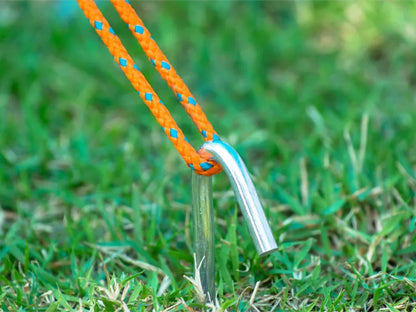 Telgivaiad 22cm 10tk