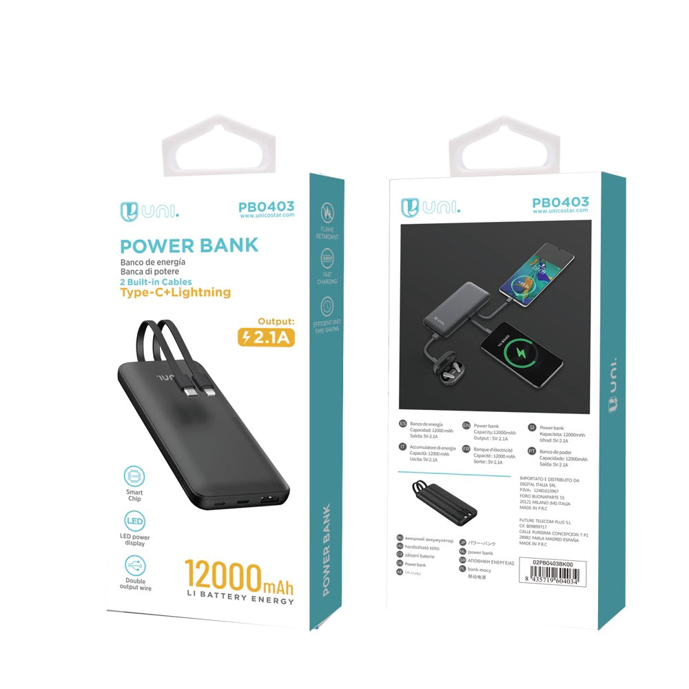 Akupank 12000mAh - Sisseehitatud taskulambiga, Type-C